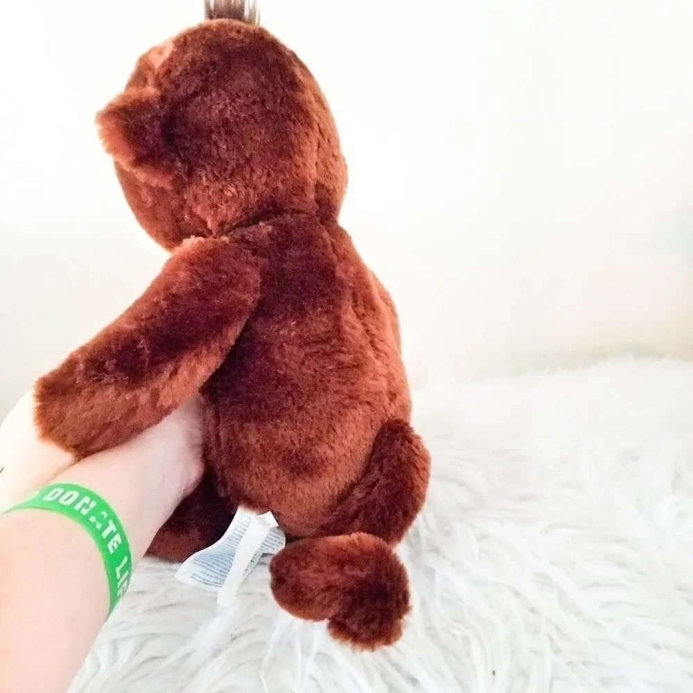 Build-A-Bear gently owned